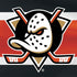NHL Anaheim Ducks Jersey Nintendo 2DS XL (2017) Skin